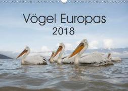 Vögel Europas 2018 (Wandkalender 2018 DIN A3 quer)