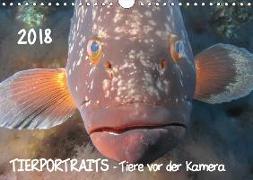 TIERPORTRAITS - Tiere vor der Kamera (Wandkalender 2018 DIN A4 quer)