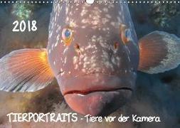 TIERPORTRAITS - Tiere vor der Kamera (Wandkalender 2018 DIN A3 quer)