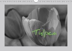 Tulpen - Blumen des Frühlings (Wandkalender 2018 DIN A4 quer)