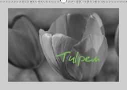 Tulpen - Blumen des Frühlings (Wandkalender 2018 DIN A3 quer)