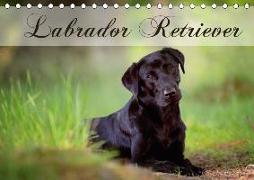 Labrador Retriever (Tischkalender 2018 DIN A5 quer)