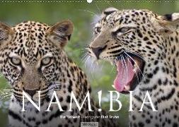 Namibia - Die Tierwelt (Wandkalender 2018 DIN A2 quer)