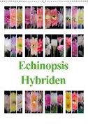 Echinopsis Hybriden (Wandkalender 2018 DIN A2 hoch)