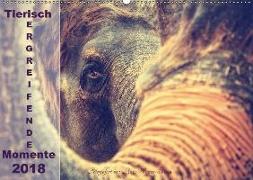 Tierisch ERGREIFENDE Momente 2018 (Wandkalender 2018 DIN A2 quer)