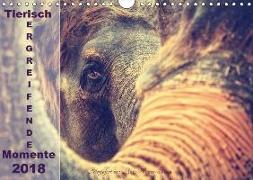 Tierisch ERGREIFENDE Momente 2018 (Wandkalender 2018 DIN A4 quer)