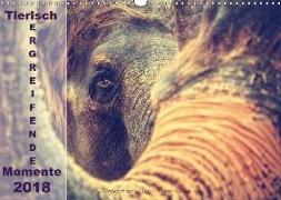 Tierisch ERGREIFENDE Momente 2018 (Wandkalender 2018 DIN A3 quer)