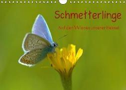 Schmetterlinge-Auf den Wiesen unserer Heimat (Wandkalender 2018 DIN A4 quer)