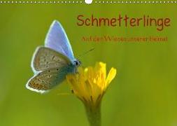 Schmetterlinge-Auf den Wiesen unserer Heimat (Wandkalender 2018 DIN A3 quer)