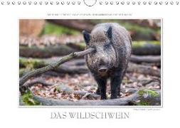 Emotionale Momente: Das Wildschwein. / CH-Version (Wandkalender 2018 DIN A4 quer)