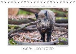 Emotionale Momente: Das Wildschwein. / CH-Version (Tischkalender 2018 DIN A5 quer)