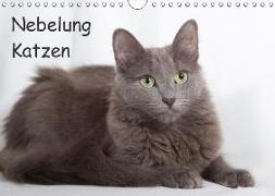 Nebelung Katzen (Wandkalender 2018 DIN A4 quer)