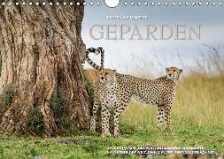 Emotionale Momente: Geparden / CH-Version (Wandkalender 2018 DIN A4 quer)