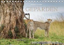 Emotionale Momente: Geparden / CH-Version (Tischkalender 2018 DIN A5 quer)