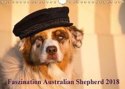 Australian Shepherd 2018 (Wandkalender 2018 DIN A4 quer)