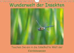 Wunderwelt der Insekten (Wandkalender 2018 DIN A4 quer)