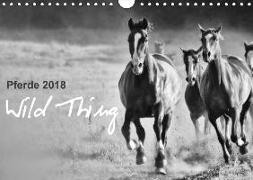 Pferde 2018 Wild Thing (Wandkalender 2018 DIN A4 quer)