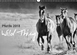 Pferde 2018 Wild Thing (Wandkalender 2018 DIN A3 quer)