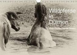 Wildpferde in Dülmen/ wilde Pferde - sanfte Seelen (Wandkalender 2018 DIN A4 quer)