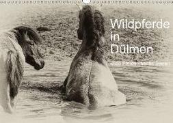 Wildpferde in Dülmen/ wilde Pferde - sanfte Seelen (Wandkalender 2018 DIN A3 quer)
