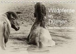 Wildpferde in Dülmen/ wilde Pferde - sanfte Seelen (Tischkalender 2018 DIN A5 quer)