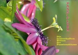 Passiflora (Wandkalender 2018 DIN A2 quer)