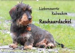 Liebenswerte Rabauken Rauhaardackel / CH-Version (Wandkalender 2018 DIN A2 quer)