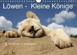 Löwen - Kleine Könige (Wandkalender 2018 DIN A4 quer)