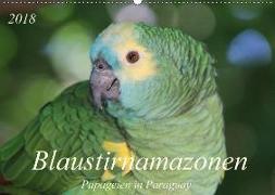 Blaustirnamazonen - Papageien in Paraguay (Wandkalender 2018 DIN A2 quer)