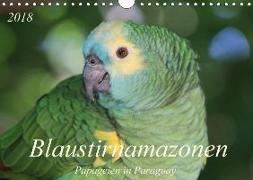 Blaustirnamazonen - Papageien in Paraguay (Wandkalender 2018 DIN A4 quer)