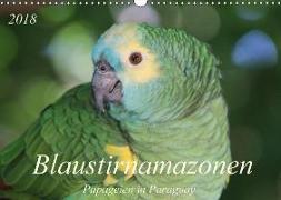 Blaustirnamazonen - Papageien in Paraguay (Wandkalender 2018 DIN A3 quer)