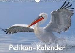 Pelikan-Kalender (Wandkalender 2018 DIN A4 quer)