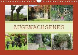 Zugewachsenes (Wandkalender 2018 DIN A4 quer)