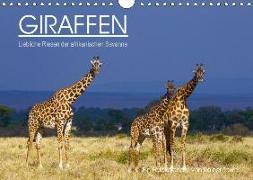 GIRAFFEN - Liebliche Riesen der afrikanischen Savanne (Wandkalender 2018 DIN A4 quer)