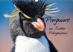 Pinguine im Süden Patagoniens (Wandkalender 2018 DIN A3 quer)