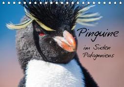 Pinguine im Süden Patagoniens (Tischkalender 2018 DIN A5 quer)