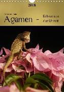 Agamen - Echsen aus der UrzeitCH-Version (Wandkalender 2018 DIN A4 hoch)