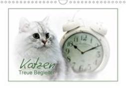 Katzen - Treue Begleiter (CH - Version) (Wandkalender 2018 DIN A4 quer)
