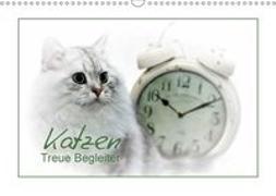 Katzen - Treue Begleiter (CH - Version) (Wandkalender 2018 DIN A3 quer)