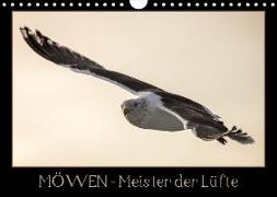 Möwen - Meister der Lüfte (Wandkalender 2018 DIN A4 quer)