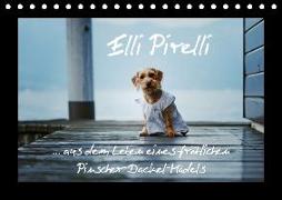 Elli Pirelli... aus dem Leben eines fröhlichen Pinscher-Dackel-Mädels (Tischkalender 2018 DIN A5 quer)