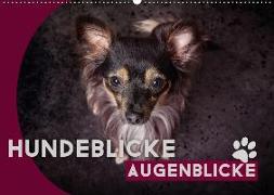 Hundeblicke / Augenblicke (Wandkalender 2018 DIN A2 quer)