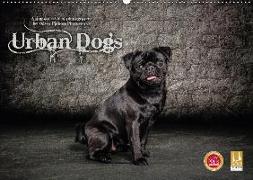 Urban Dogs - Hundekalender der anderen Art (Wandkalender 2018 DIN A2 quer)