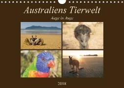 Australiens Tierwelt - Auge in AugeAT-Version (Wandkalender 2018 DIN A4 quer)