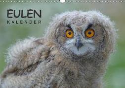Eulen-Kalender (Wandkalender 2018 DIN A3 quer)