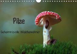 Pilze-Geheimnisvolle Waldbewohner (Wandkalender 2018 DIN A4 quer)