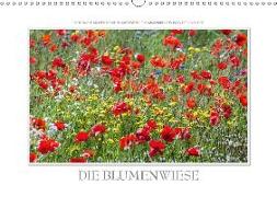 Emotionale Momente: Die Blumenwiese. / CH-Version (Wandkalender 2018 DIN A3 quer)