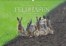 Emotionale Momente: Feldhasen / CH-Version (Wandkalender 2018 DIN A2 quer)