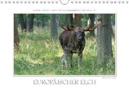 Emotionale Momente: Europäischer Elch. / CH-Version (Wandkalender 2018 DIN A4 quer)