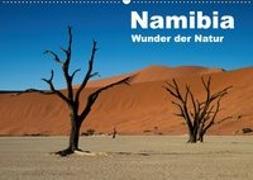 Namibia - Wunder der Natur (Wandkalender 2018 DIN A2 quer)